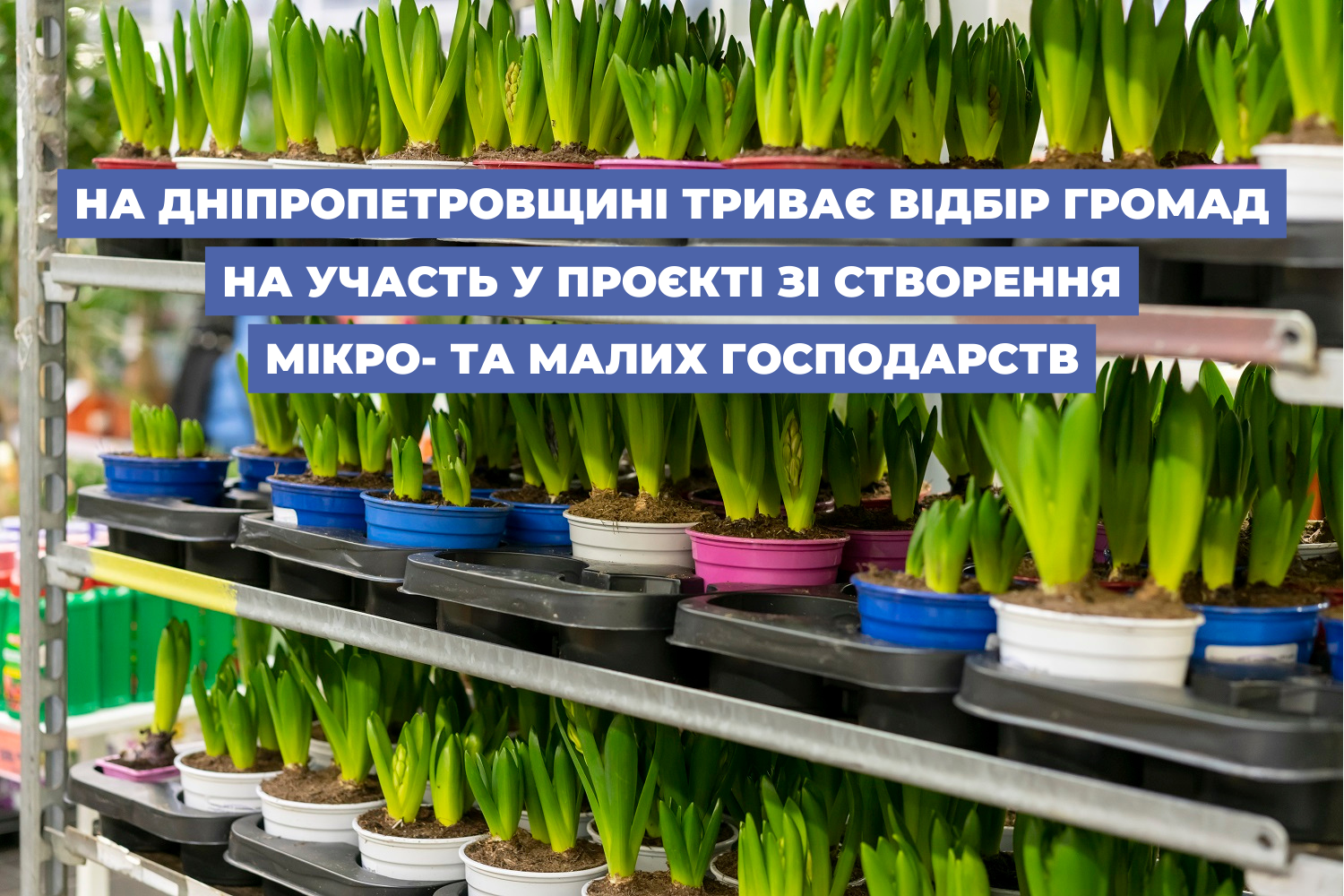 На Дніпропетровщині триває відбір громад на участь у проєкті зі створення мікро- та малих господарств