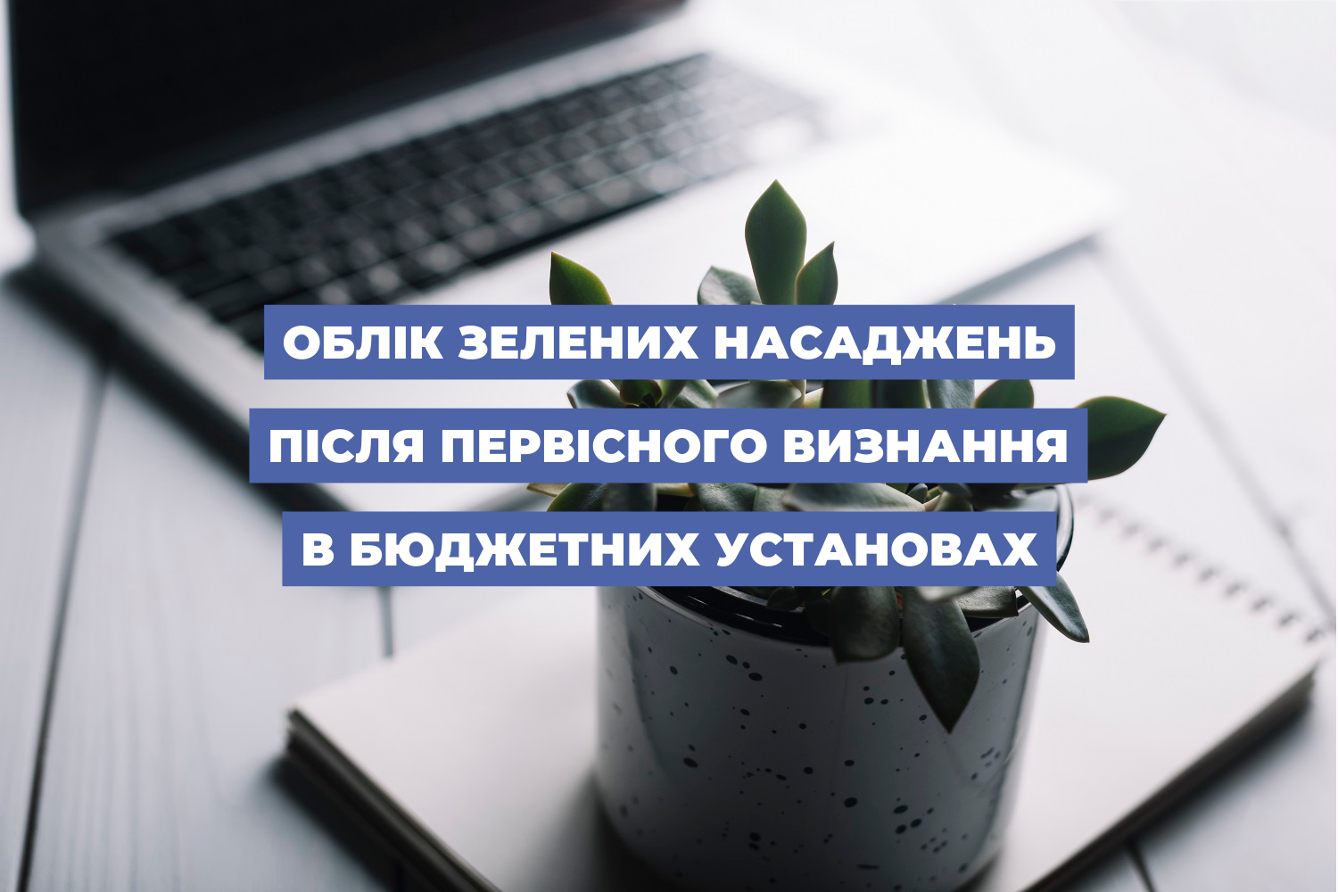 Облік зелених насаджень після первісного визнання в бюджетних установах