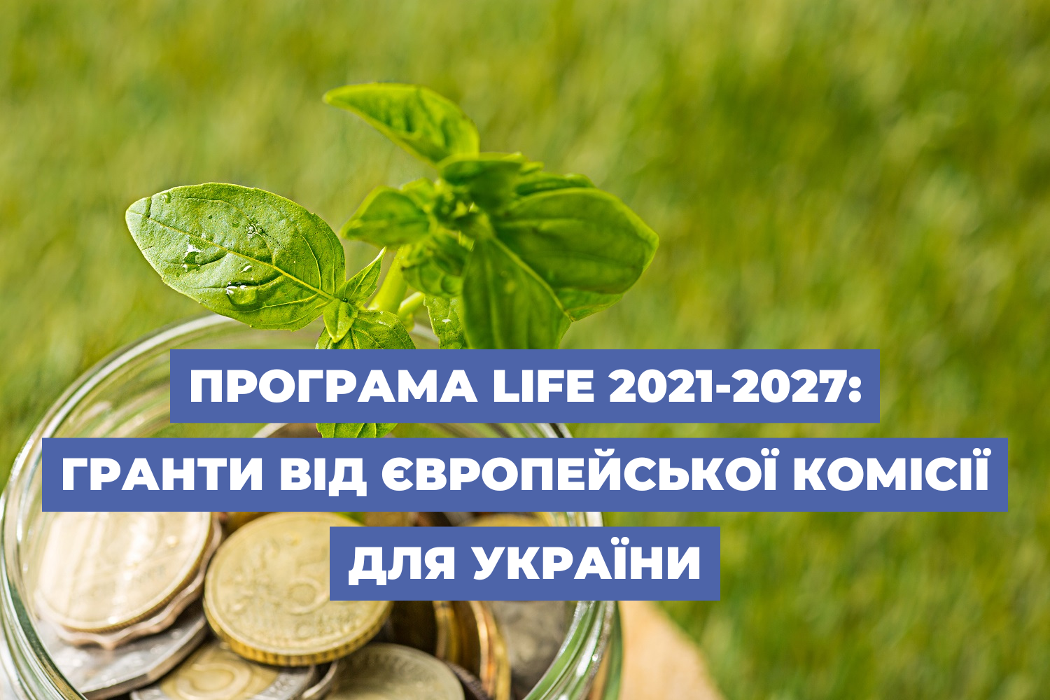 Програма LIFE 2021-2027: гранти від Європейської комісії для України