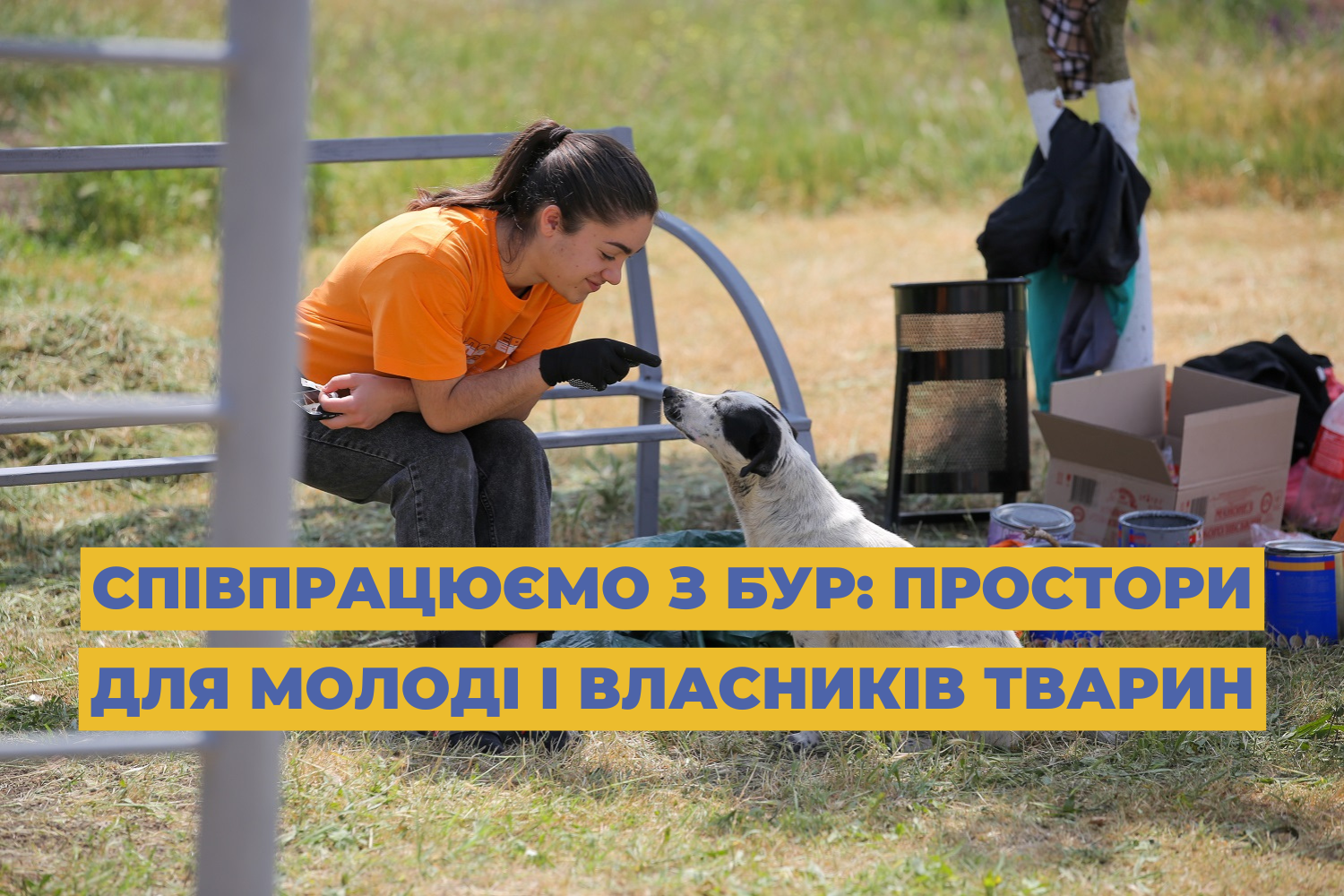 We cooperate with BUR: spaces for young people and animal owners